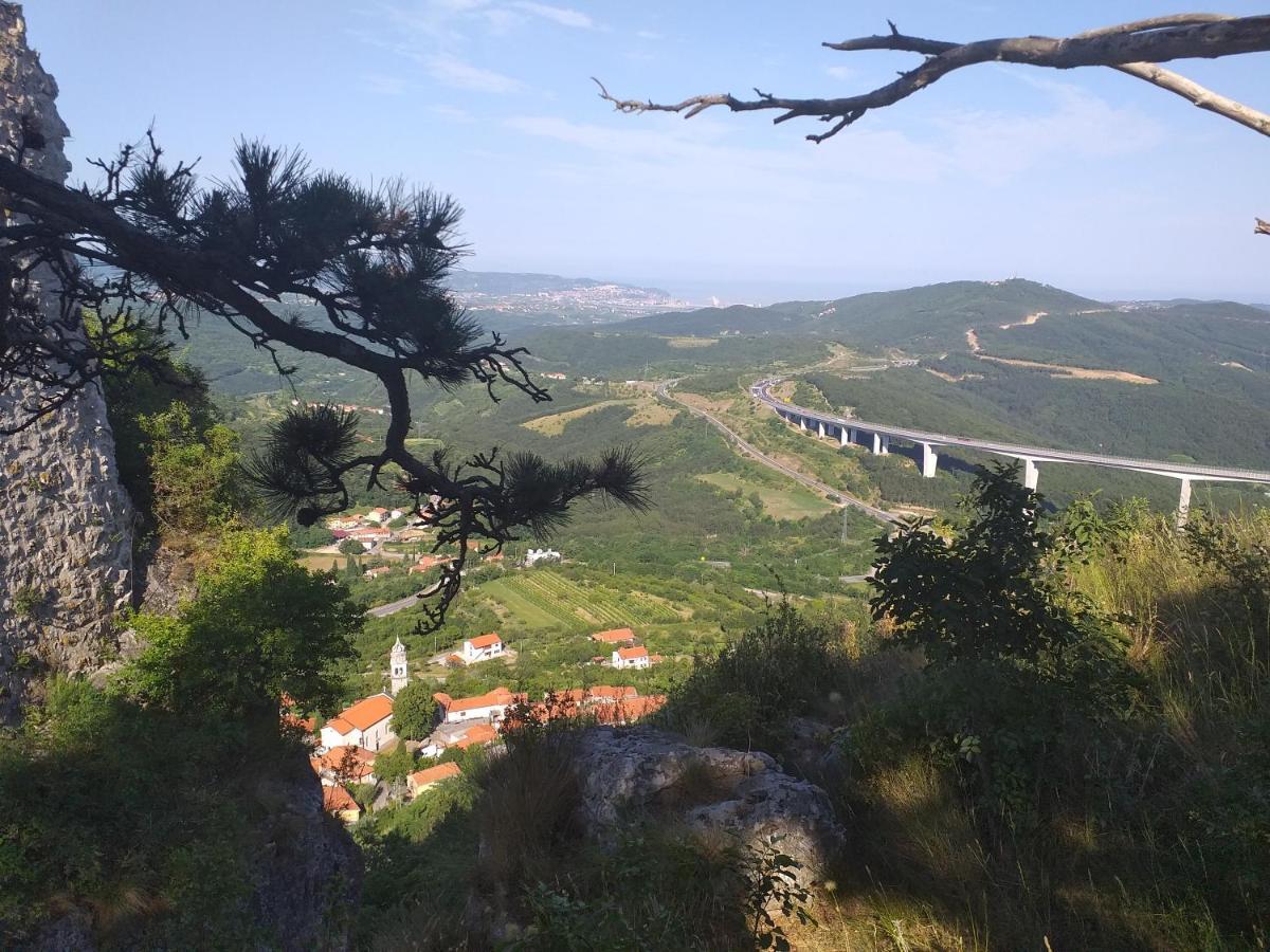 Apartment Beautiful Črni Kal 外观 照片
