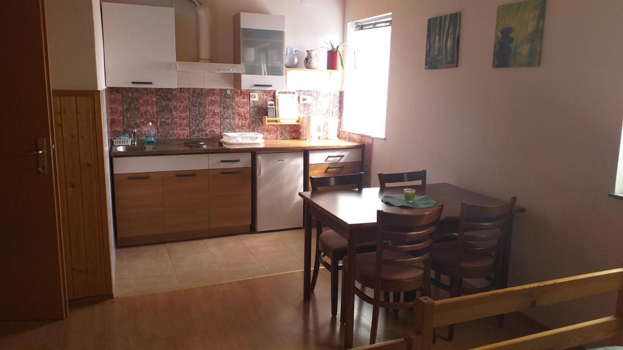 Apartment Beautiful Črni Kal 外观 照片